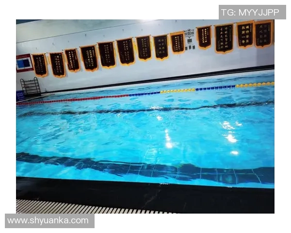 全面提升游泳技能的训练计划与科学方法解析